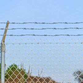 Бодлива тел Зелен 100 m Горещо поцинкована стомана